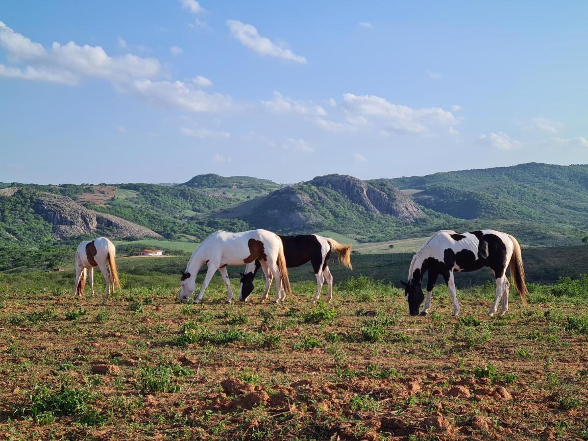 Hotel Rancho Trevo Serra de São Bento Zewnętrze zdjęcie